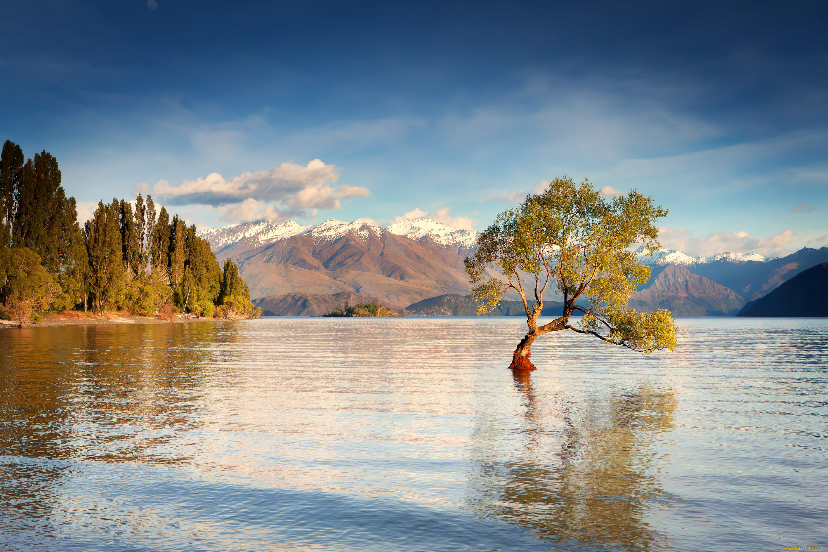 Озера южных островов. Озеро Ванака новая Зеландия. Озеро Ванака, остров Южный, новая Зеландия. Дерево Ванака новая Зеландия. Озеро Ванака новая Зеландия фото.
